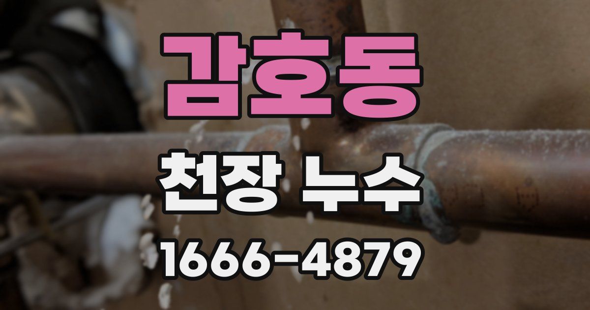 감호동 천장 누수