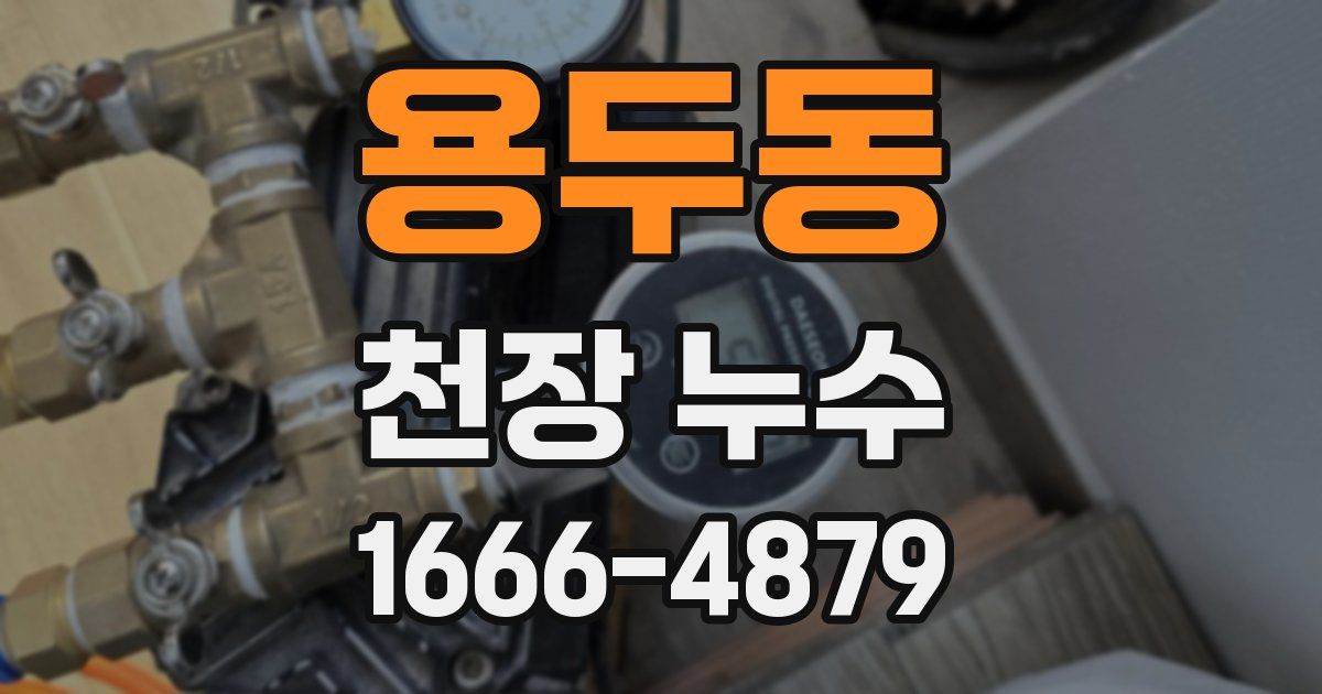 용두동 천장 누수