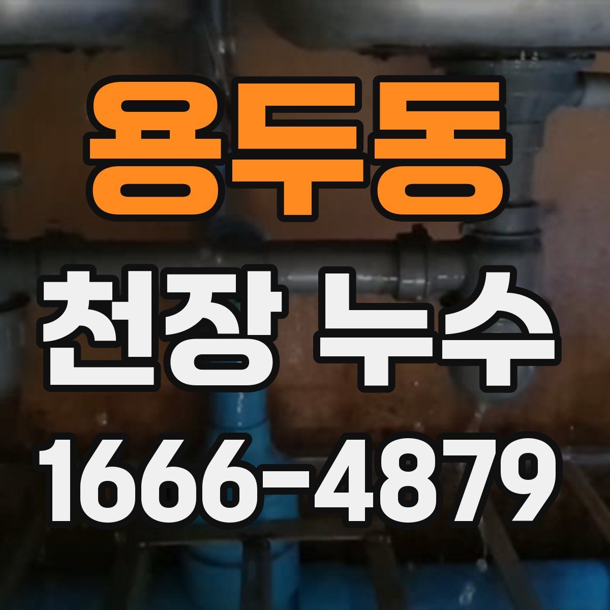 용두동 천장 누수