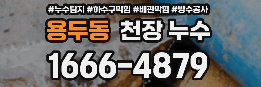 용두동 천장 누수