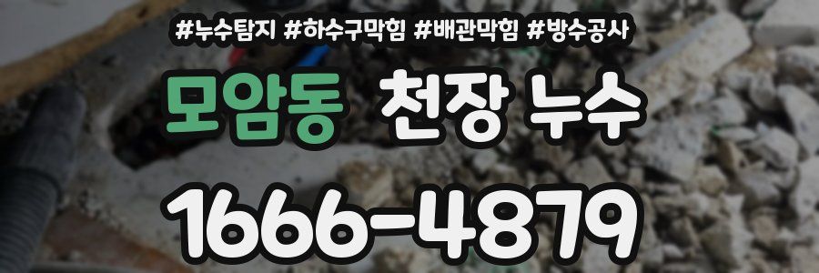 모암동 천장 누수