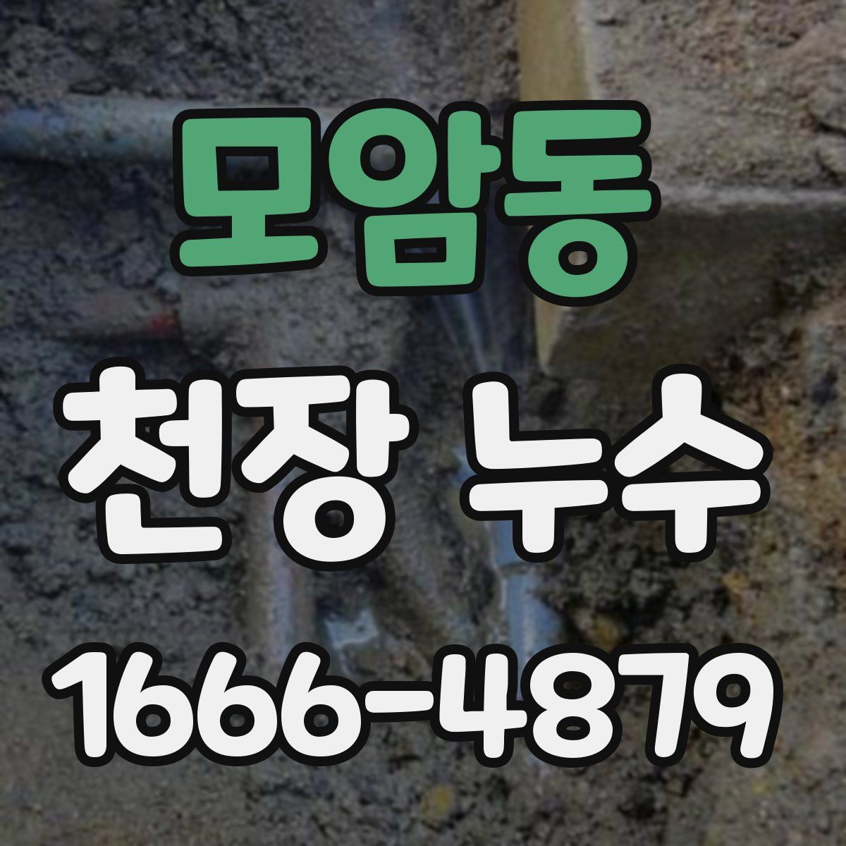 모암동 천장 누수