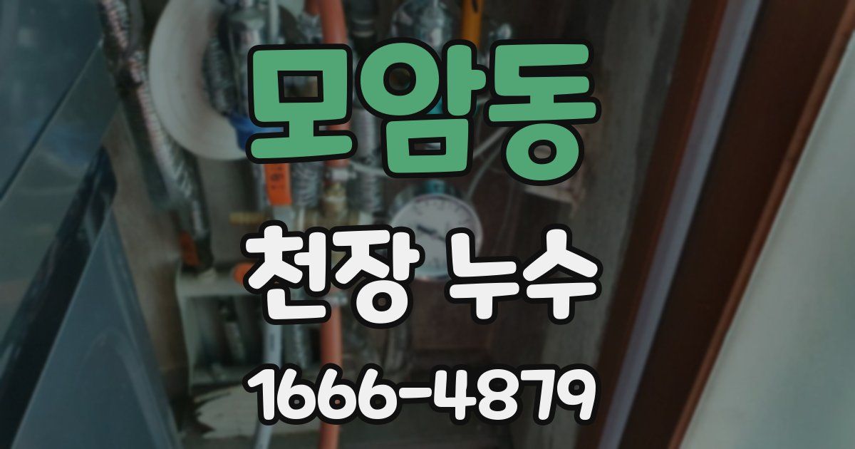 모암동 천장 누수