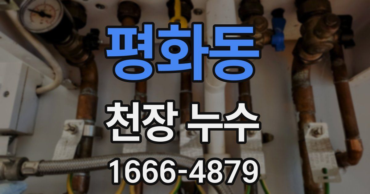 평화동 천장 누수