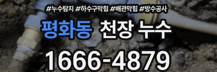 평화동 천장 누수