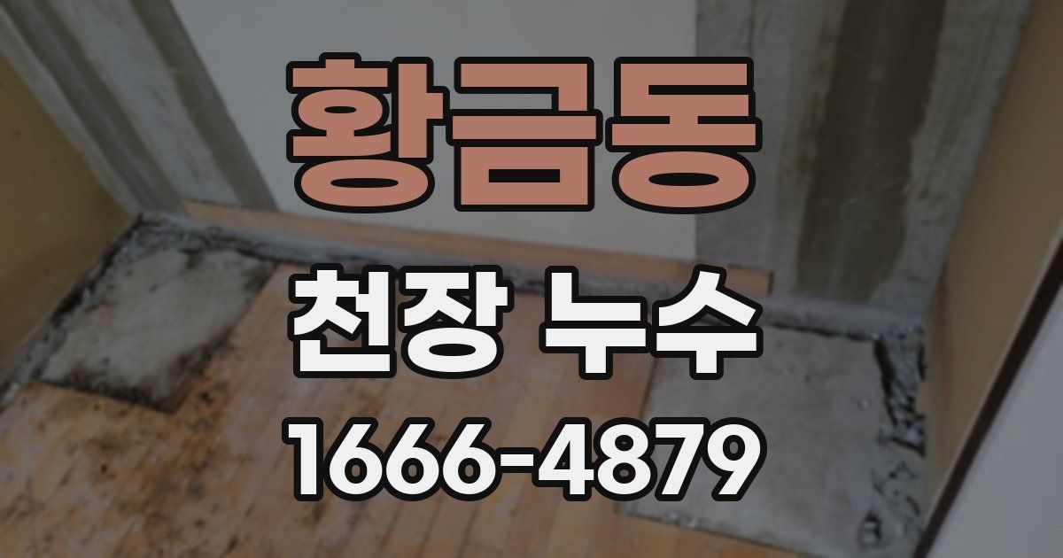 황금동 천장 누수