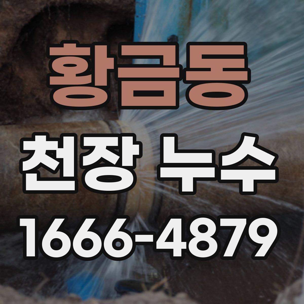 황금동 천장 누수