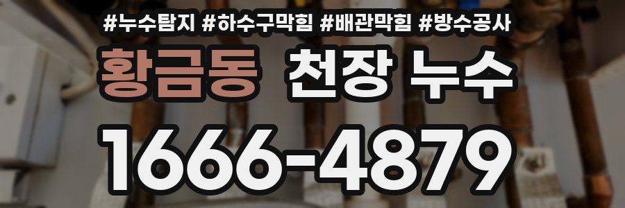 황금동 천장 누수