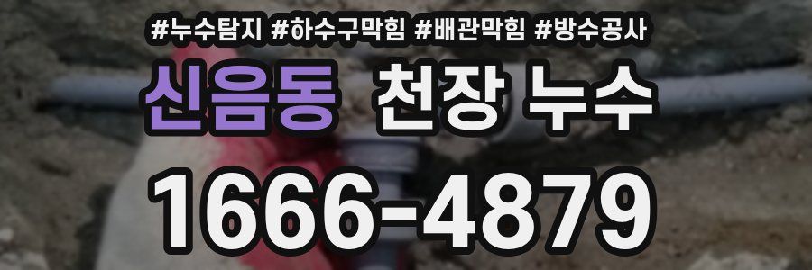 신음동 천장 누수