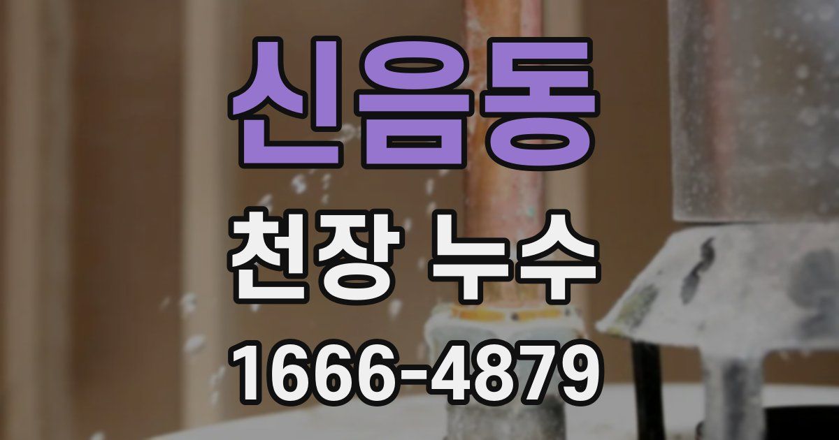 신음동 천장 누수