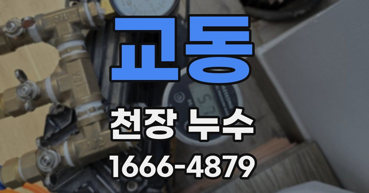 교동 천장 누수