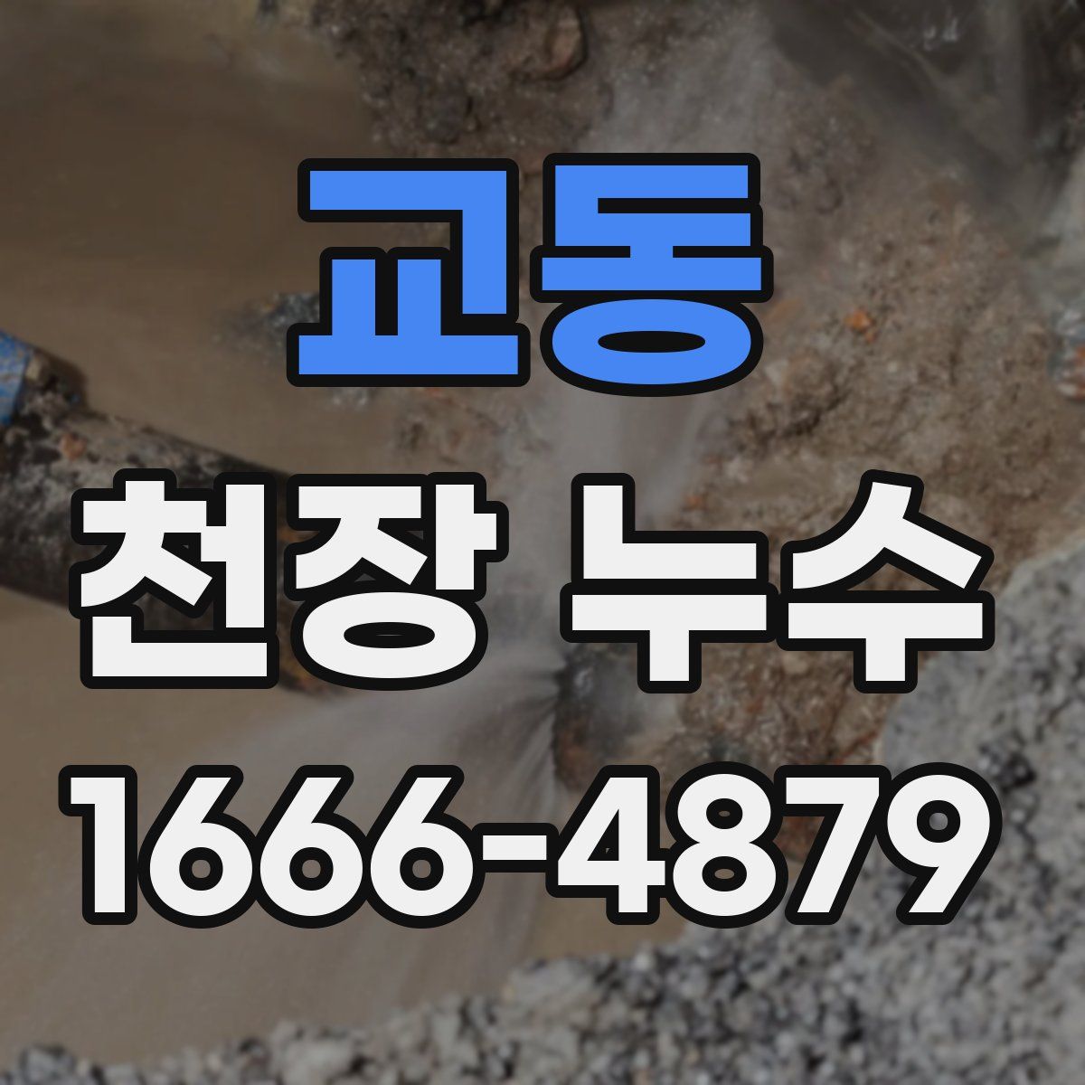 교동 천장 누수