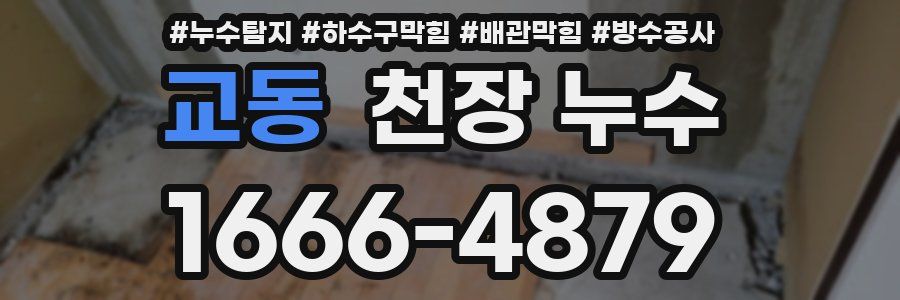 교동 천장 누수