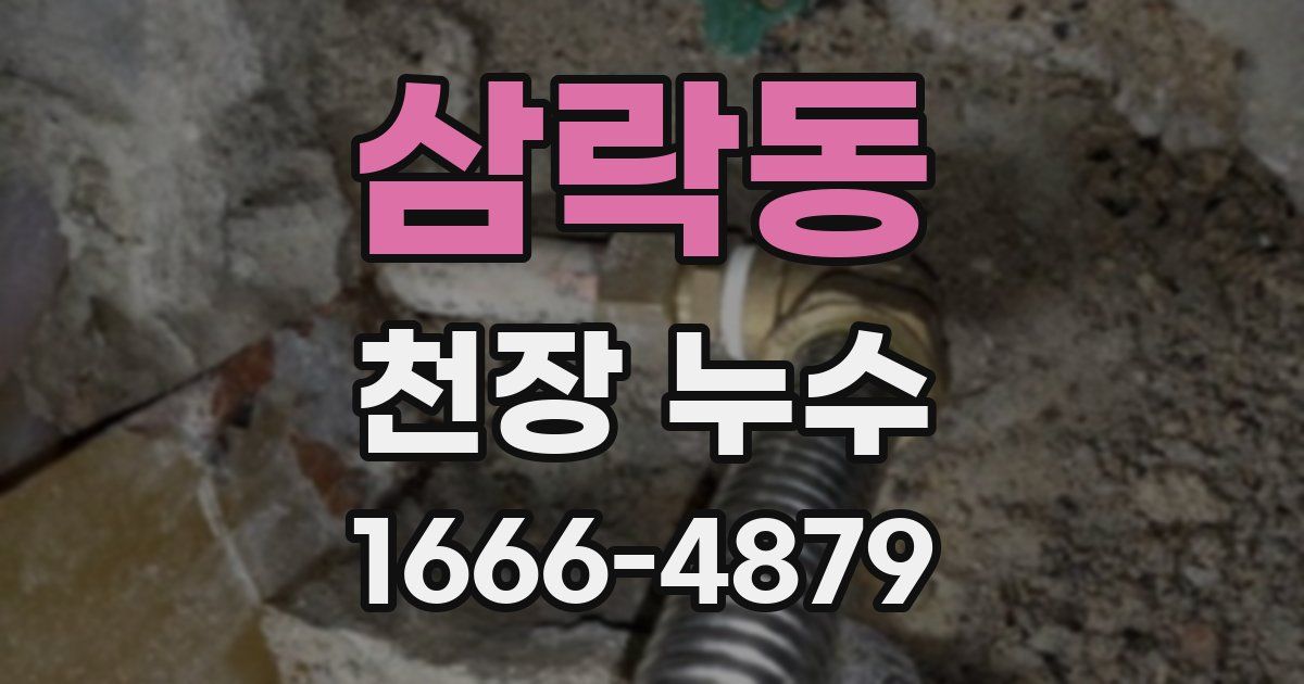 삼락동 천장 누수