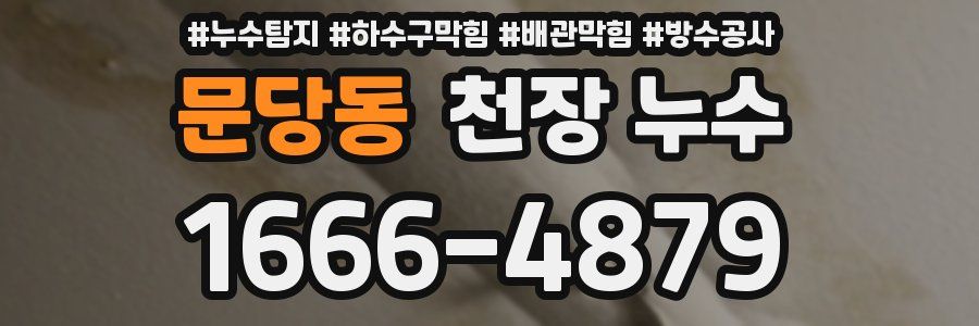 문당동 천장 누수