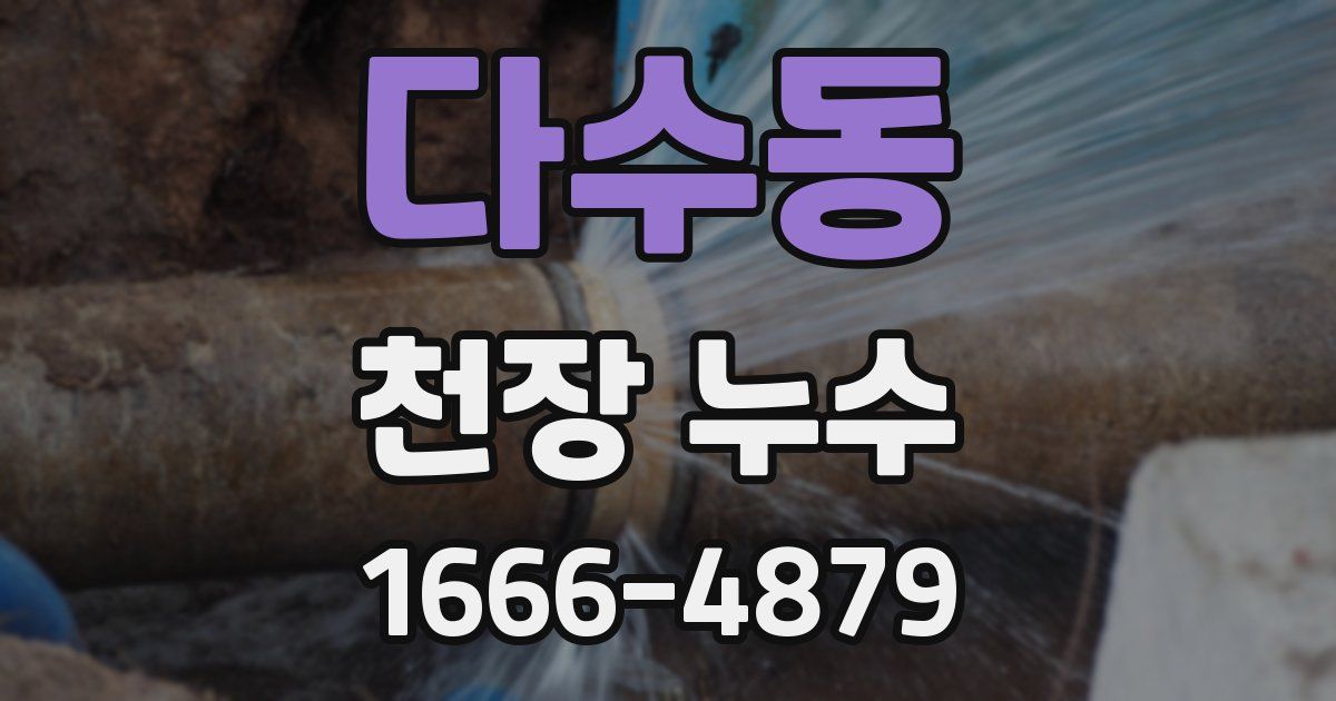 다수동 천장 누수