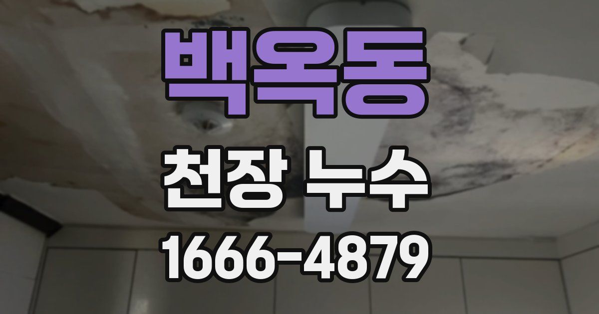 백옥동 천장 누수