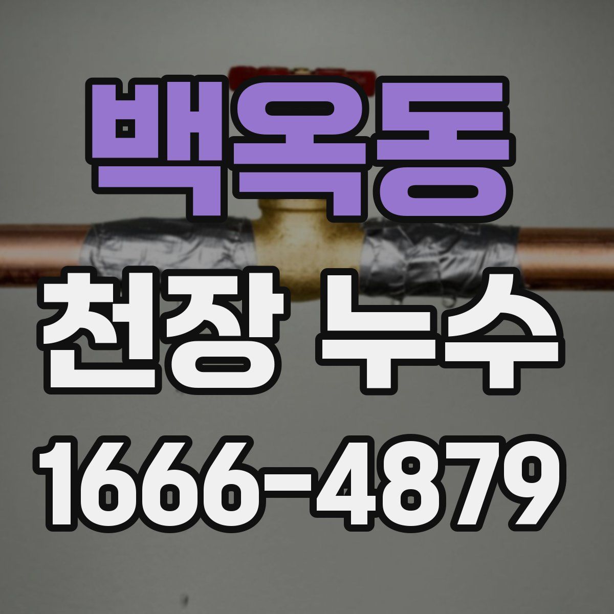 백옥동 천장 누수