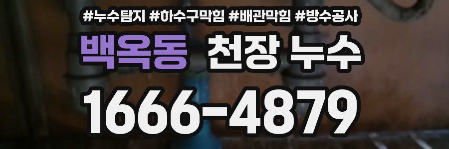 백옥동 천장 누수