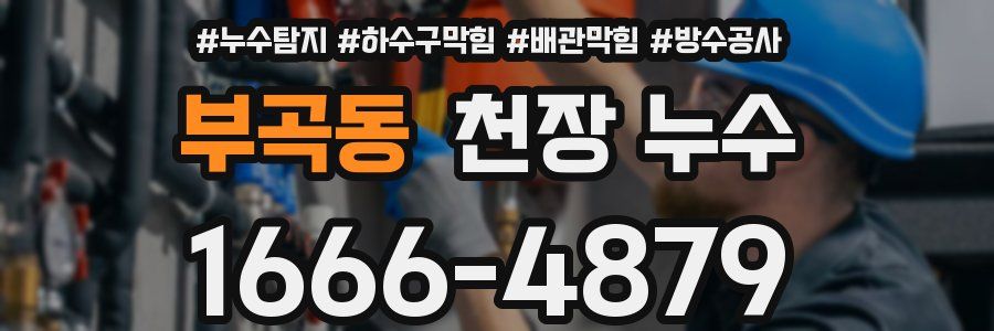 부곡동 천장 누수