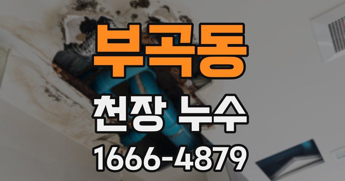 부곡동 천장 누수