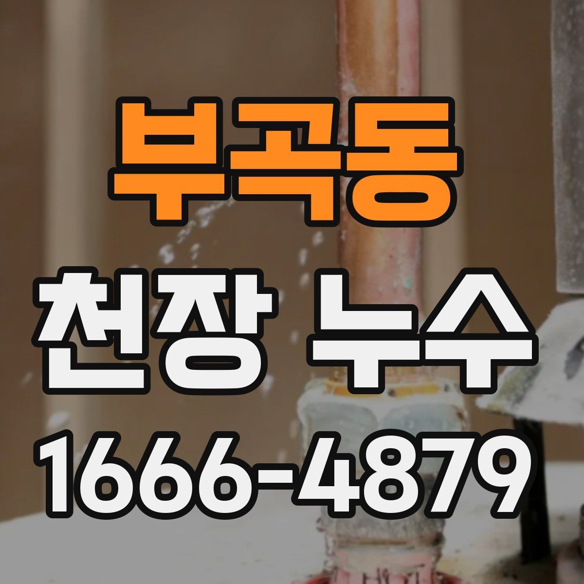 부곡동 천장 누수