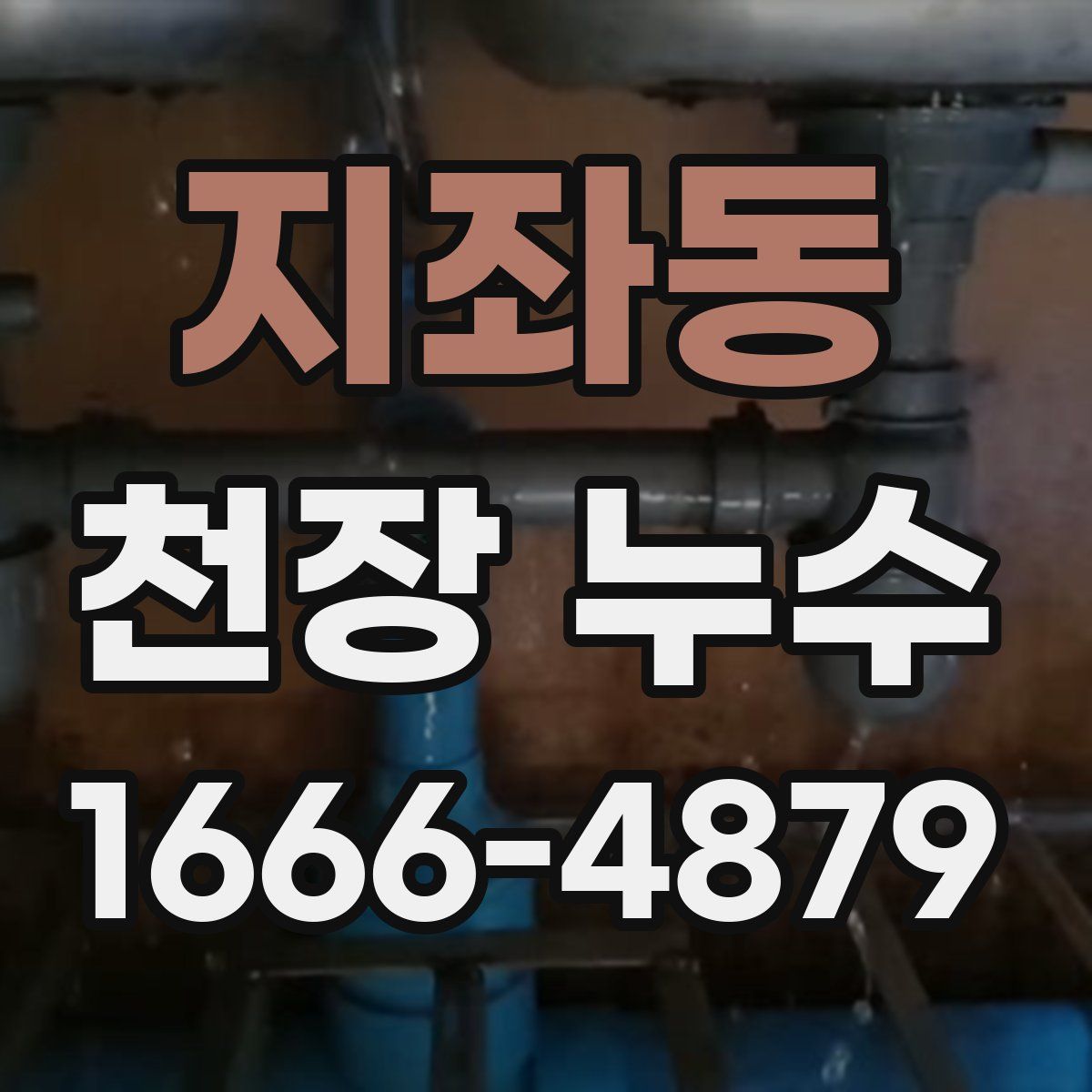 지좌동 천장 누수