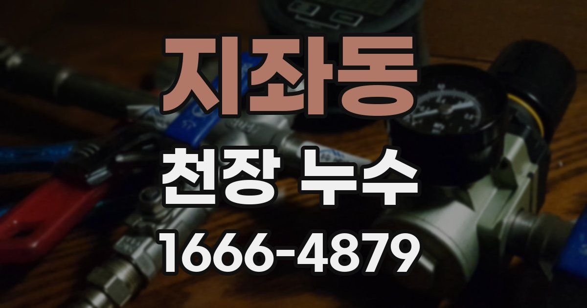 지좌동 천장 누수