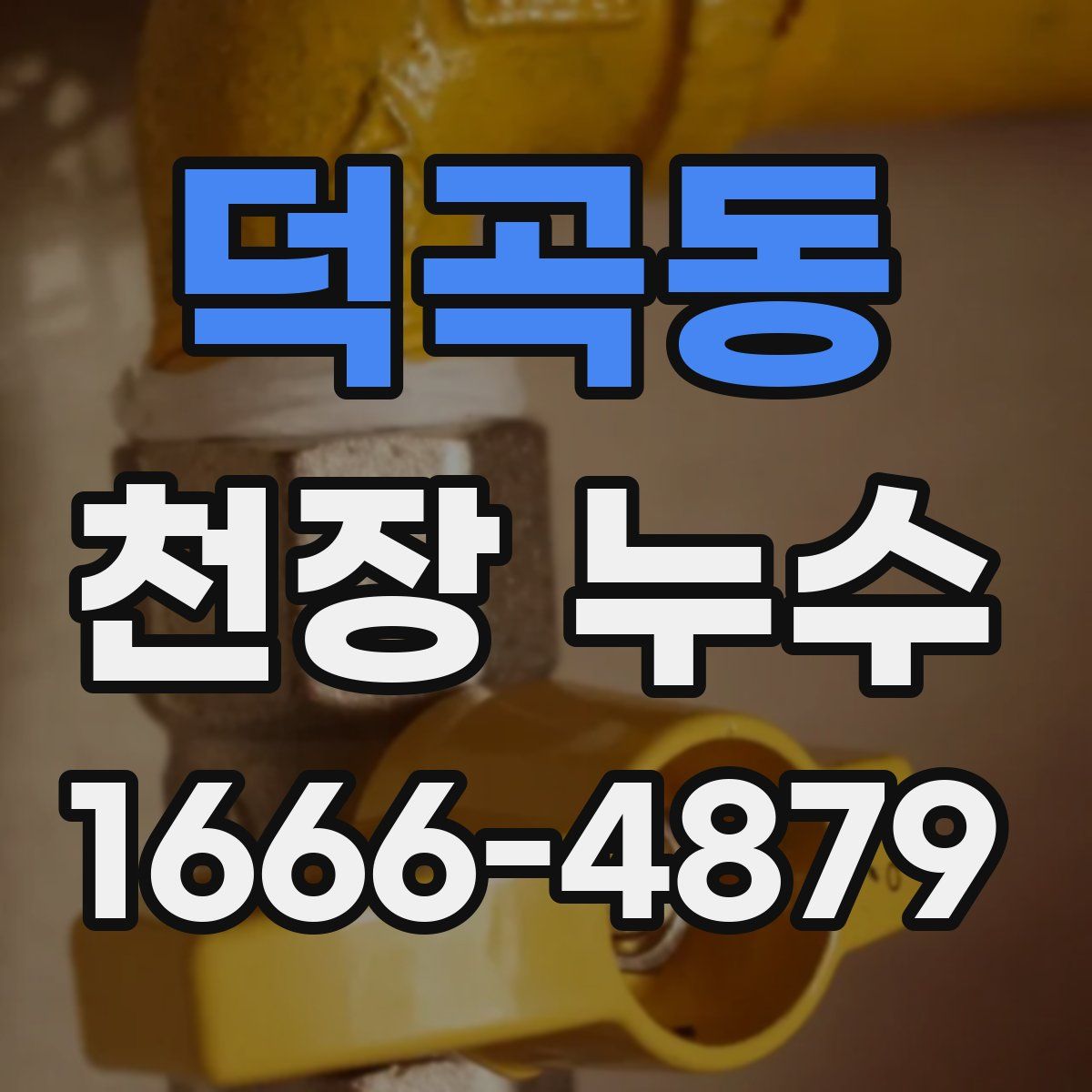 덕곡동 천장 누수