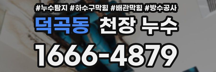 덕곡동 천장 누수