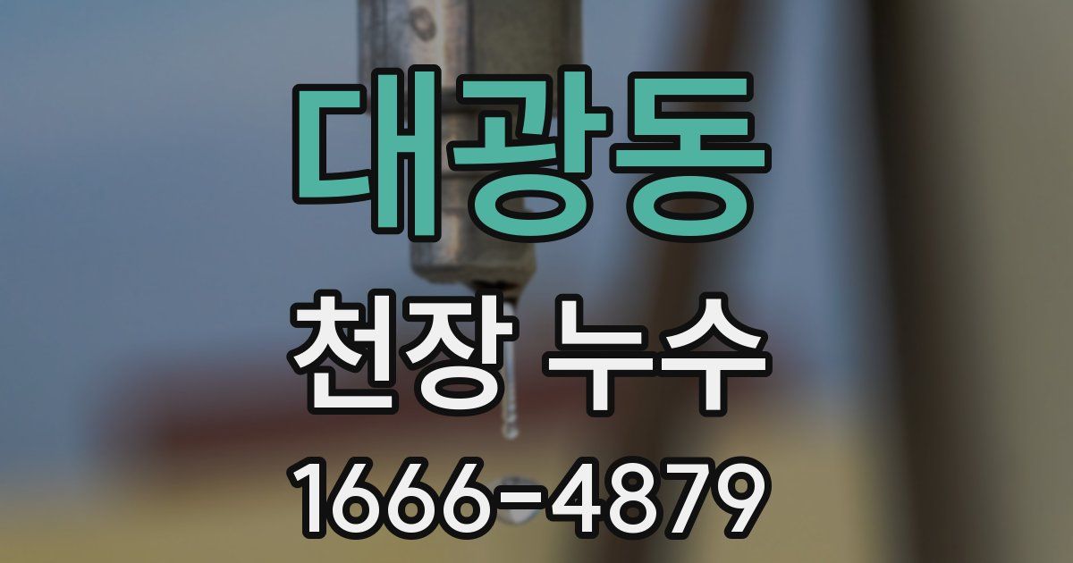 대광동 천장 누수