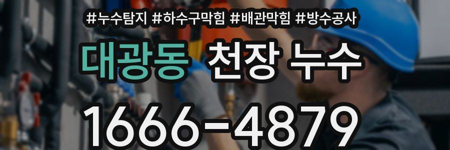 대광동 천장 누수