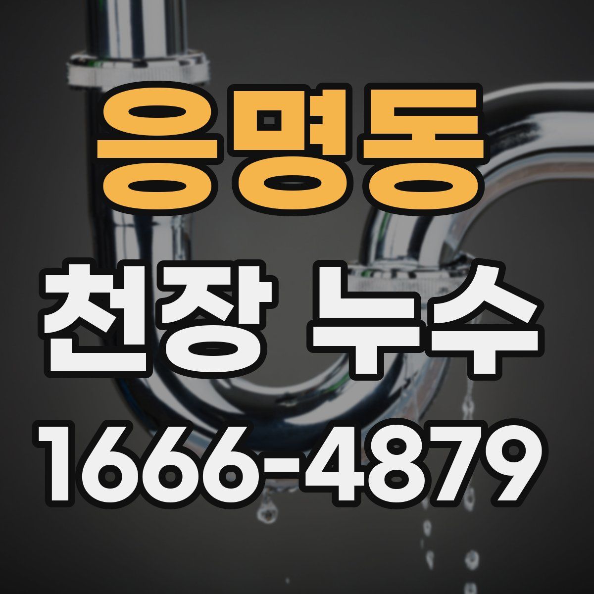 응명동 천장 누수