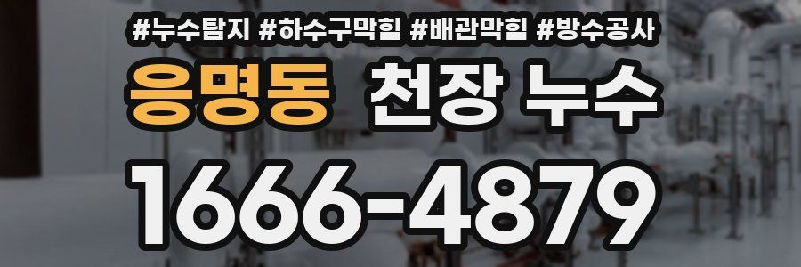 응명동 천장 누수
