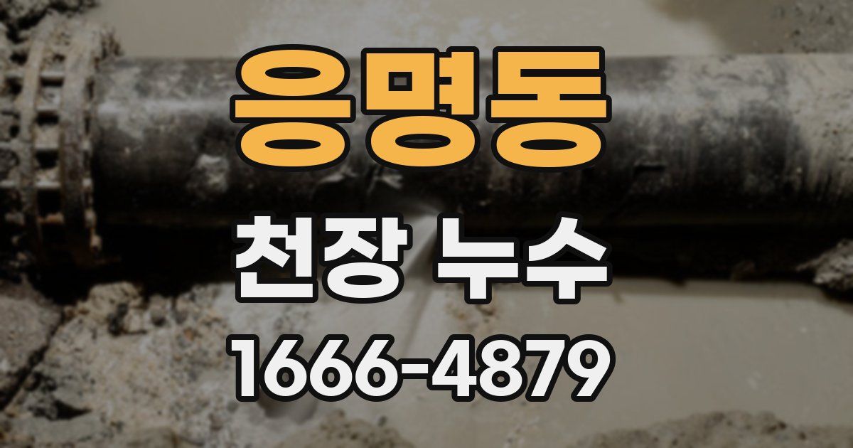 응명동 천장 누수