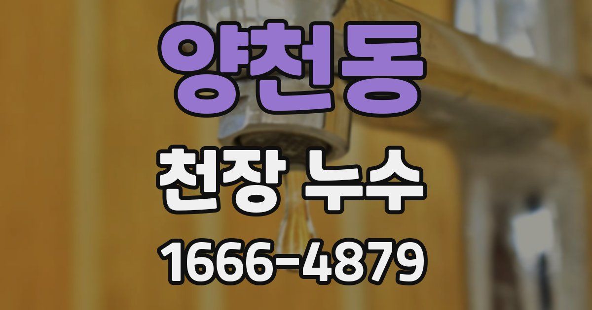 양천동 천장 누수
