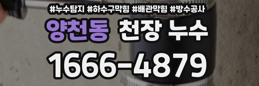 양천동 천장 누수