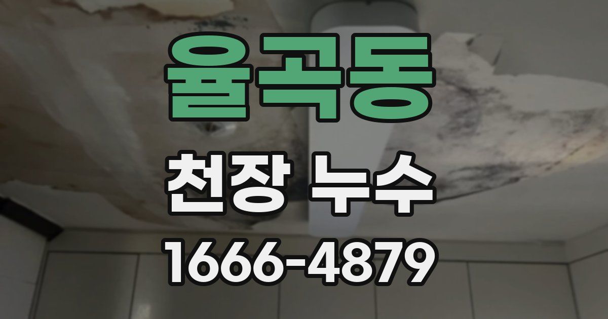 율곡동 천장 누수