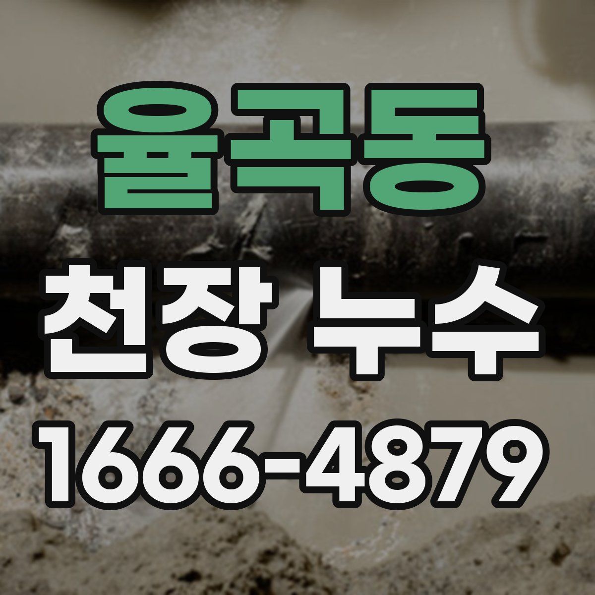 율곡동 천장 누수