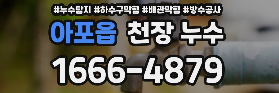 아포읍 천장 누수