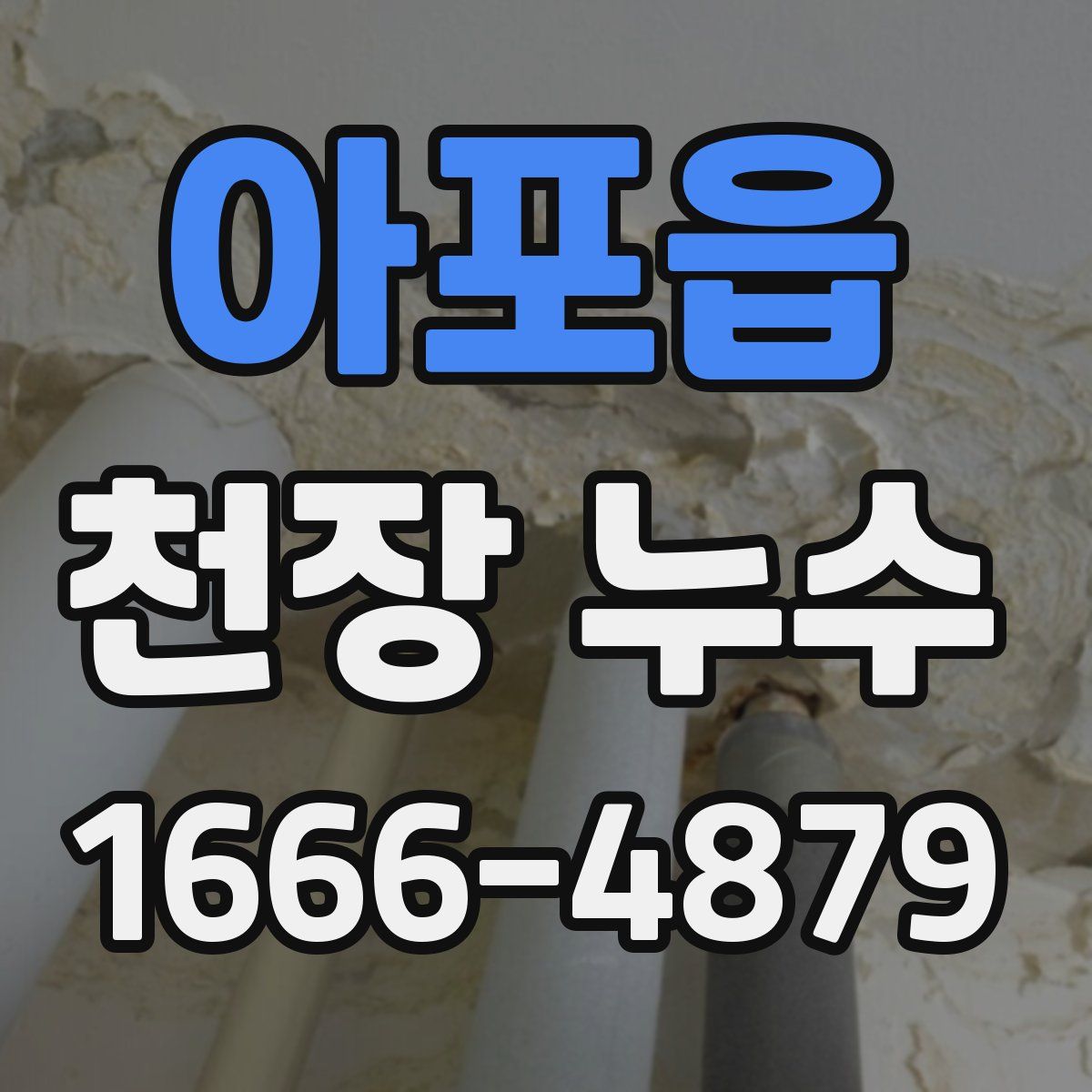 아포읍 천장 누수