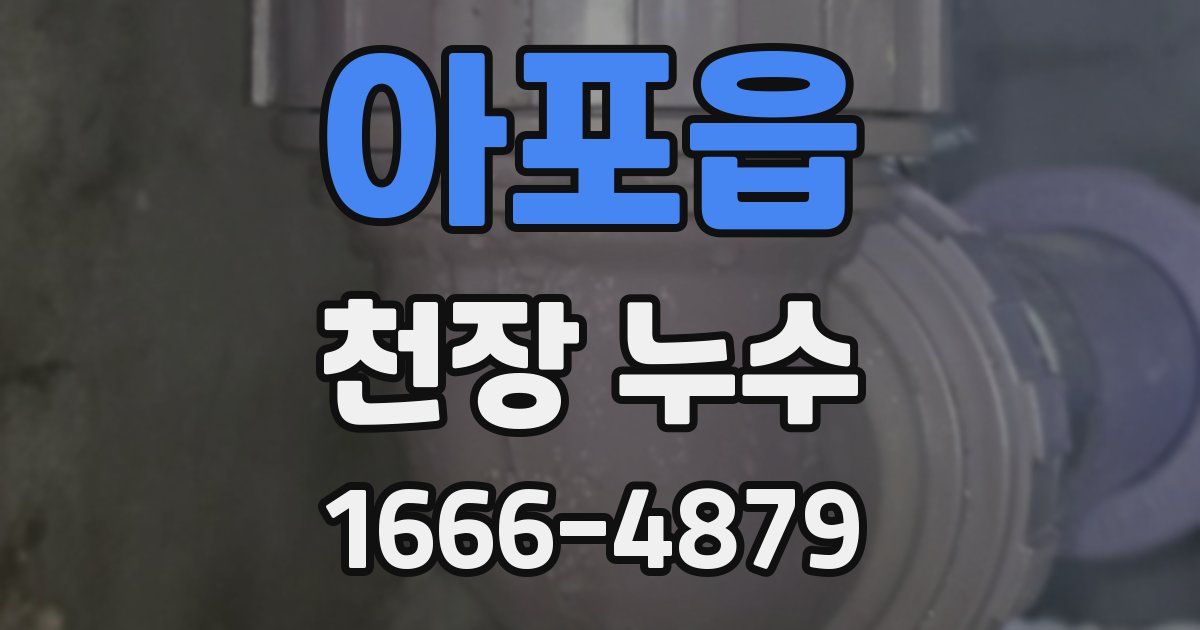 아포읍 천장 누수