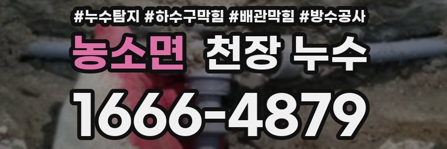 농소면 천장 누수