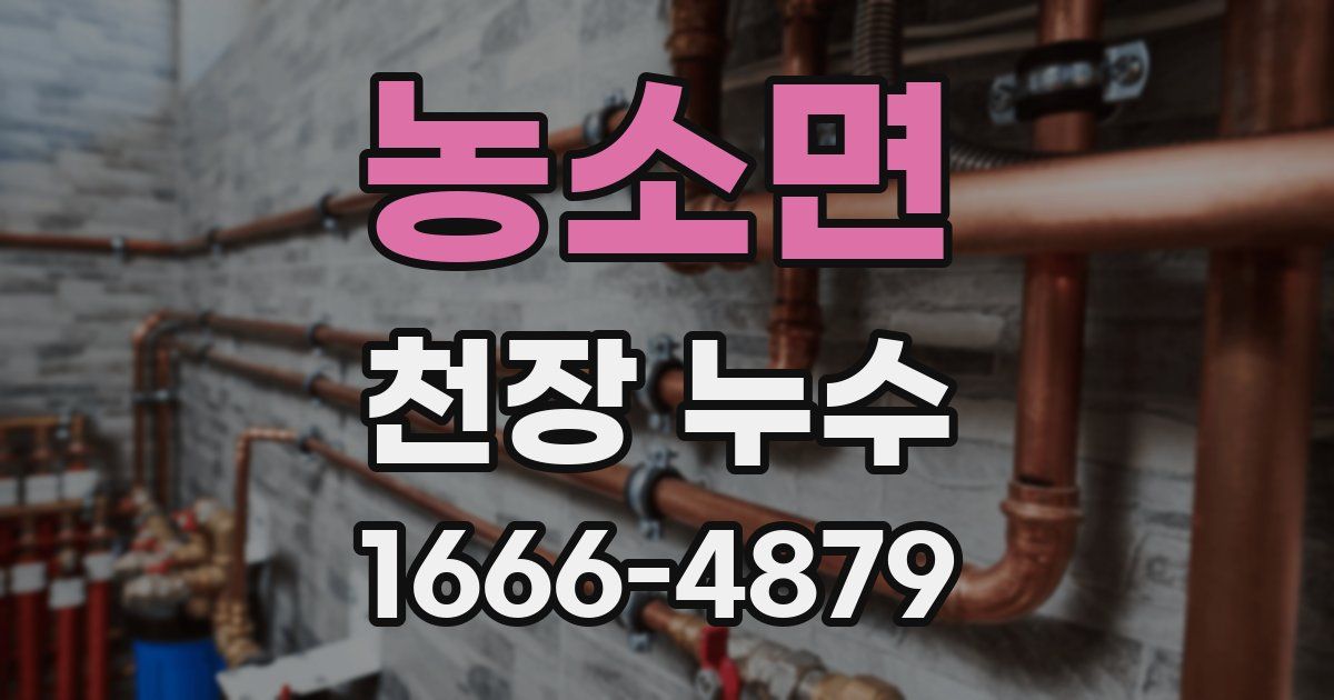 농소면 천장 누수