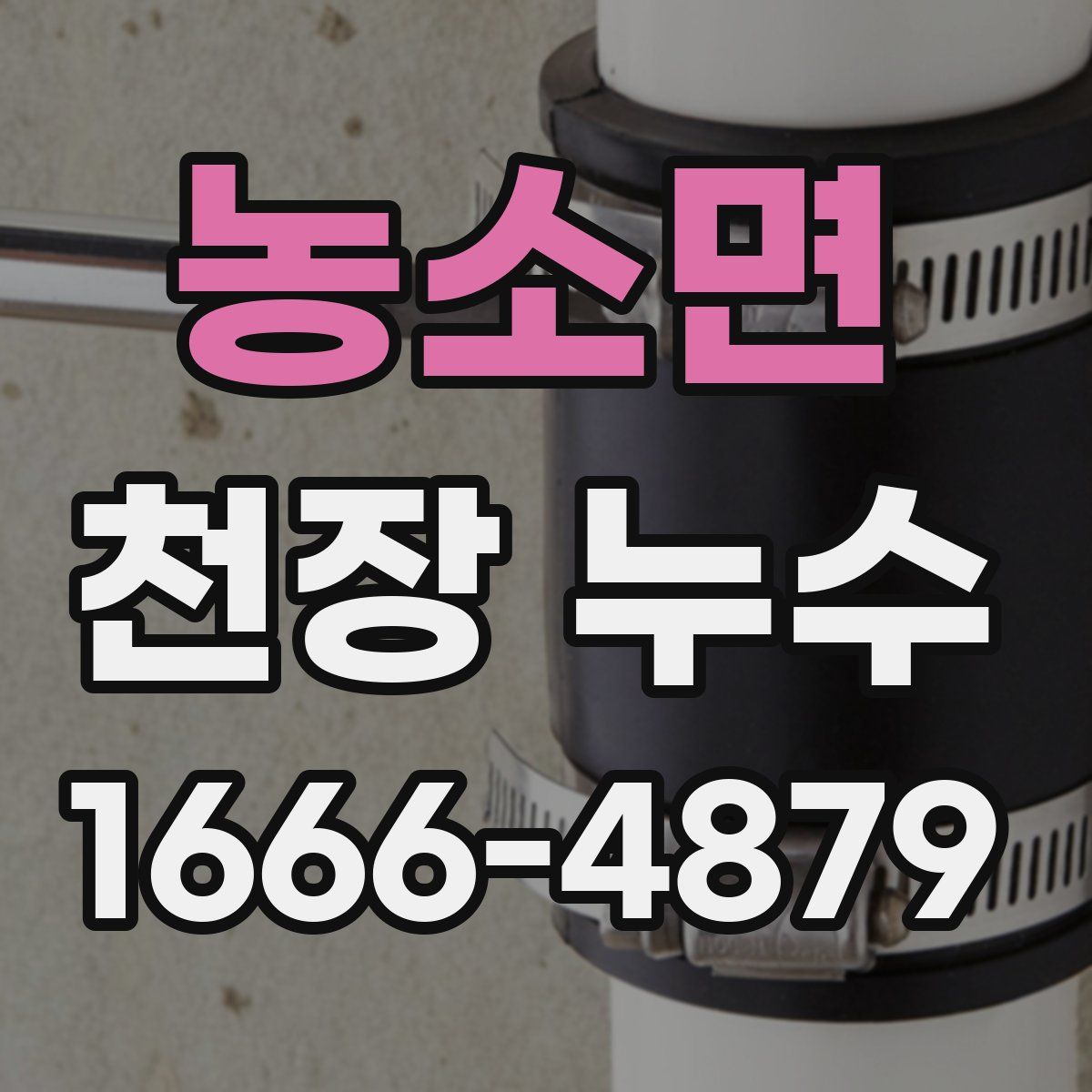 농소면 천장 누수