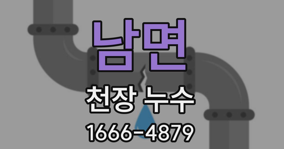 남면 천장 누수