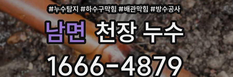 남면 천장 누수