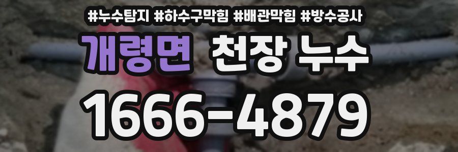 개령면 천장 누수
