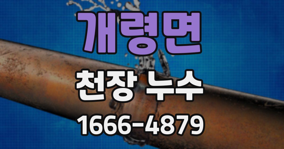 개령면 천장 누수