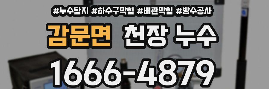 감문면 천장 누수